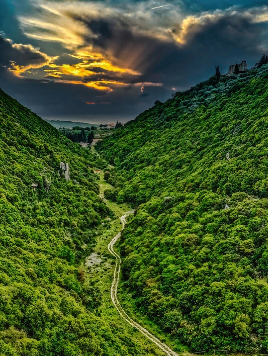 A Journey Through the Verdant Path by Le Boulanger