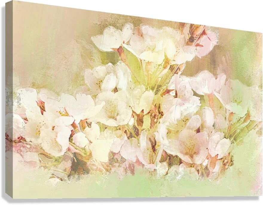 Giclée Stretched Canvas Print