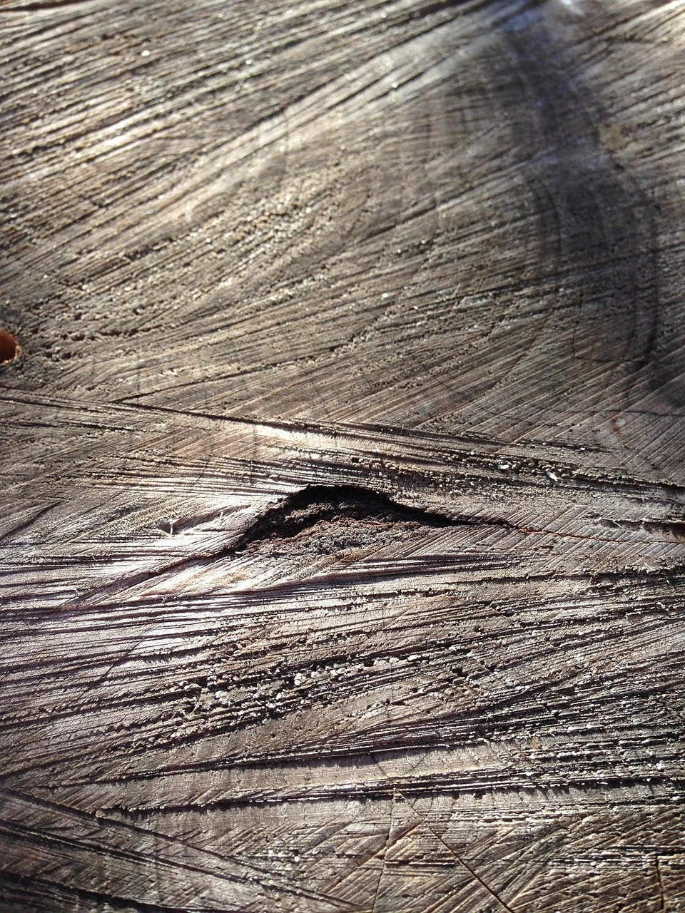 Wood Print
