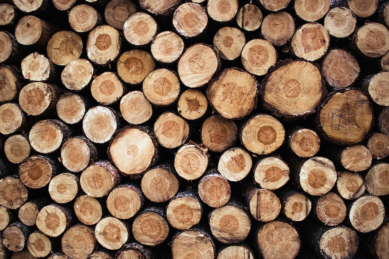 Wood Print