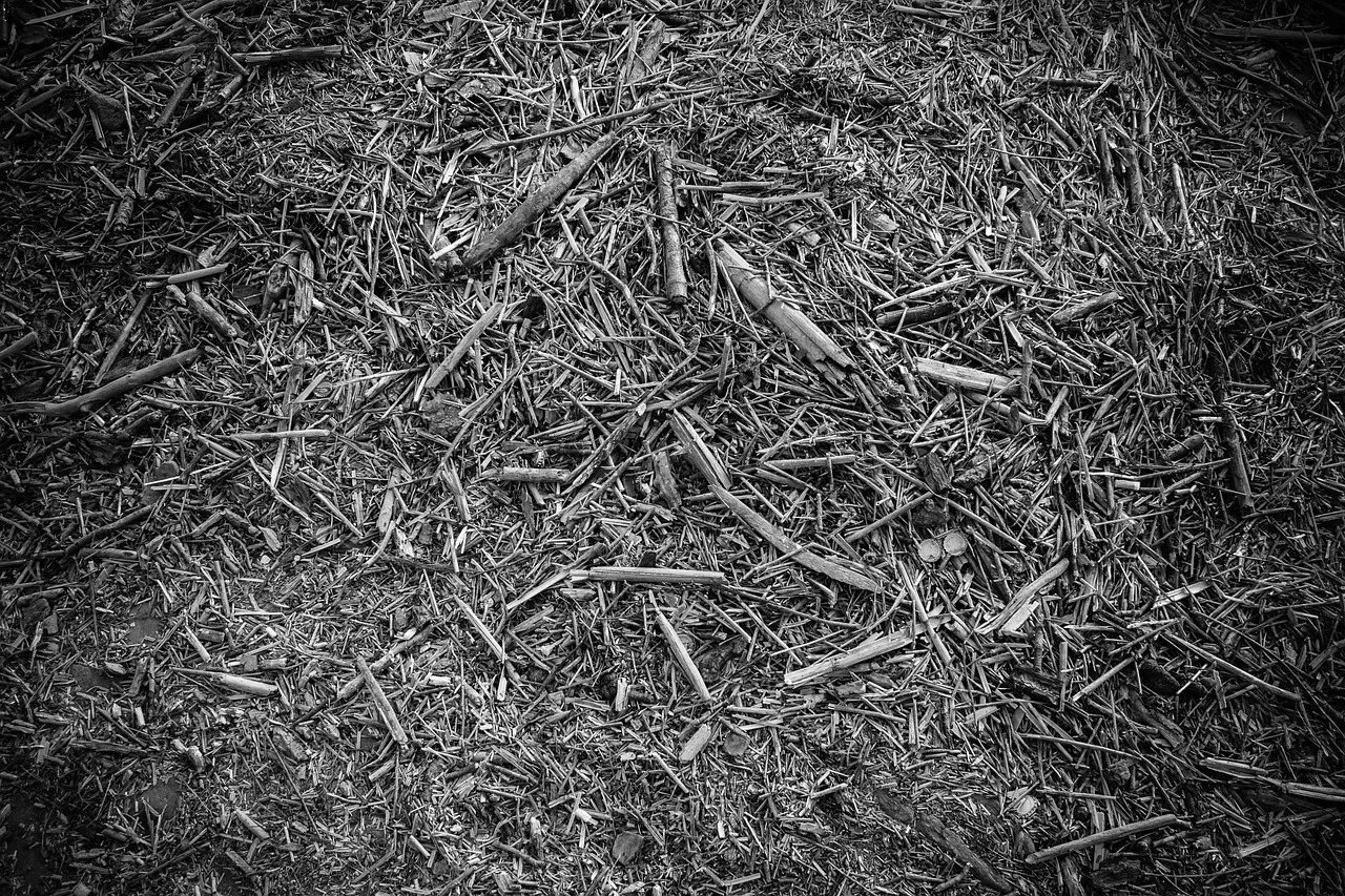Wood Print