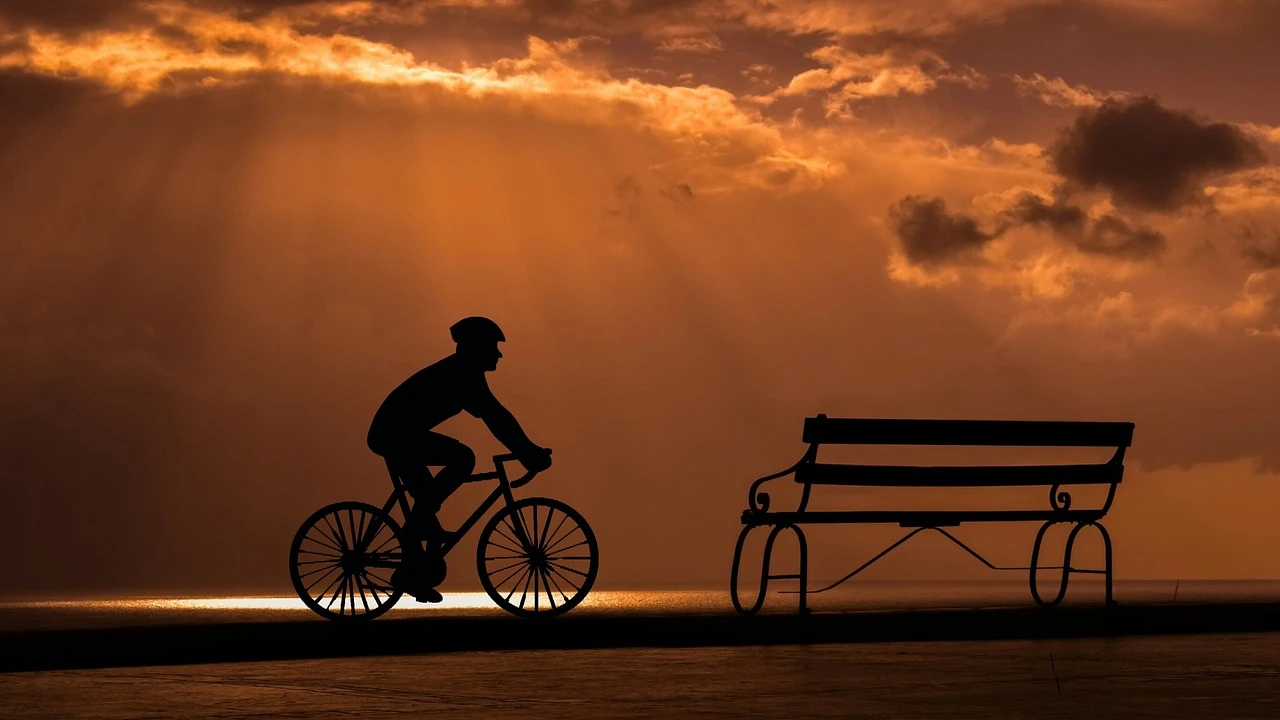 Cyclist's Silhouette: Chic Long Sleeve Tee