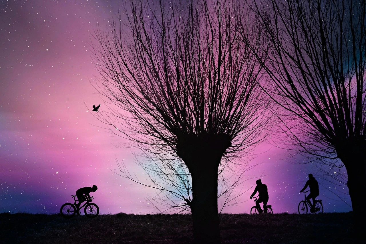 Cyclist's Silhouette: Chic Long Sleeve Tee