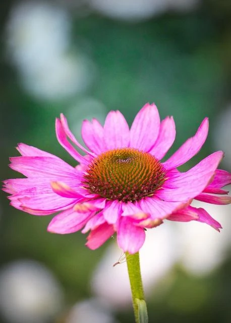 Load image into Gallery viewer, "Endless Devotion - Greeting card