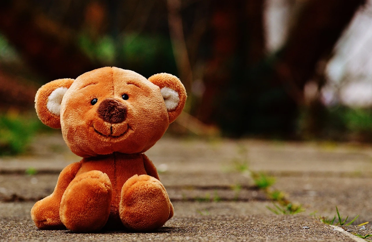 Huggable Teddy Bear Long Sleeve Tee