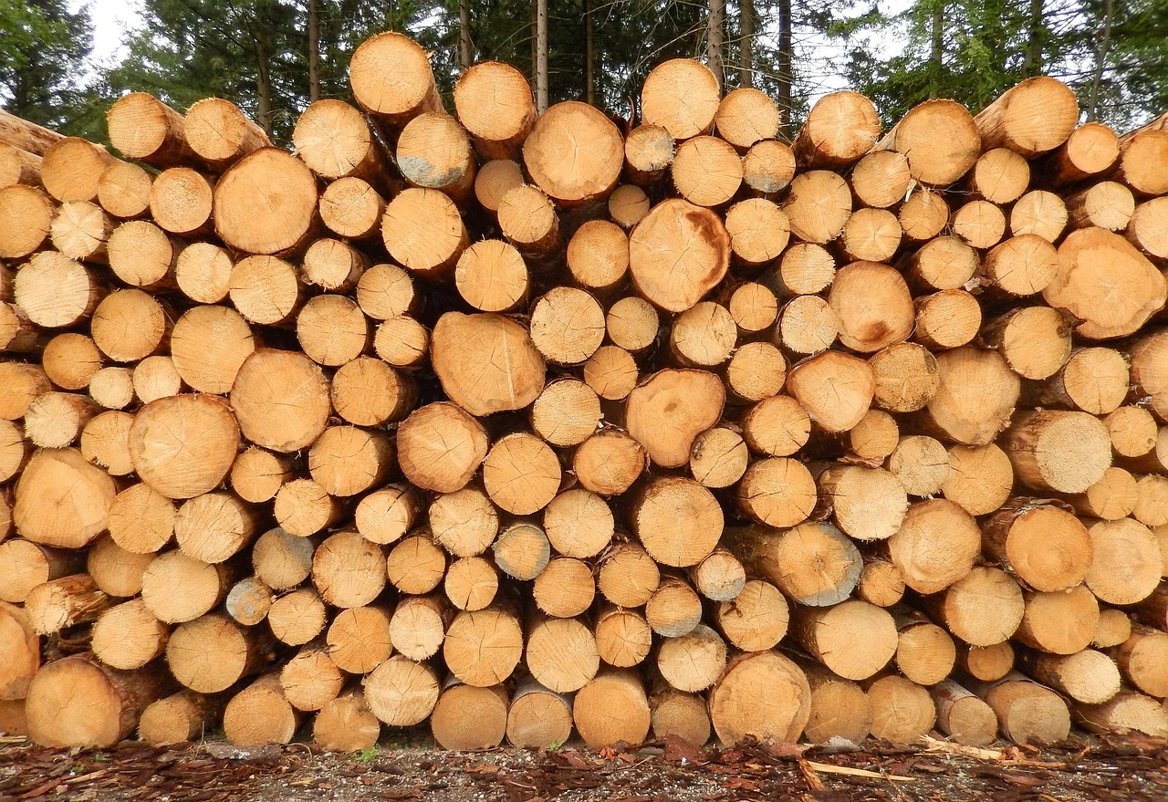 Wood Print
