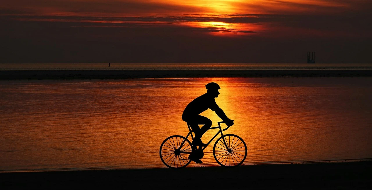 Cyclist's Silhouette: Chic Long Sleeve Tee