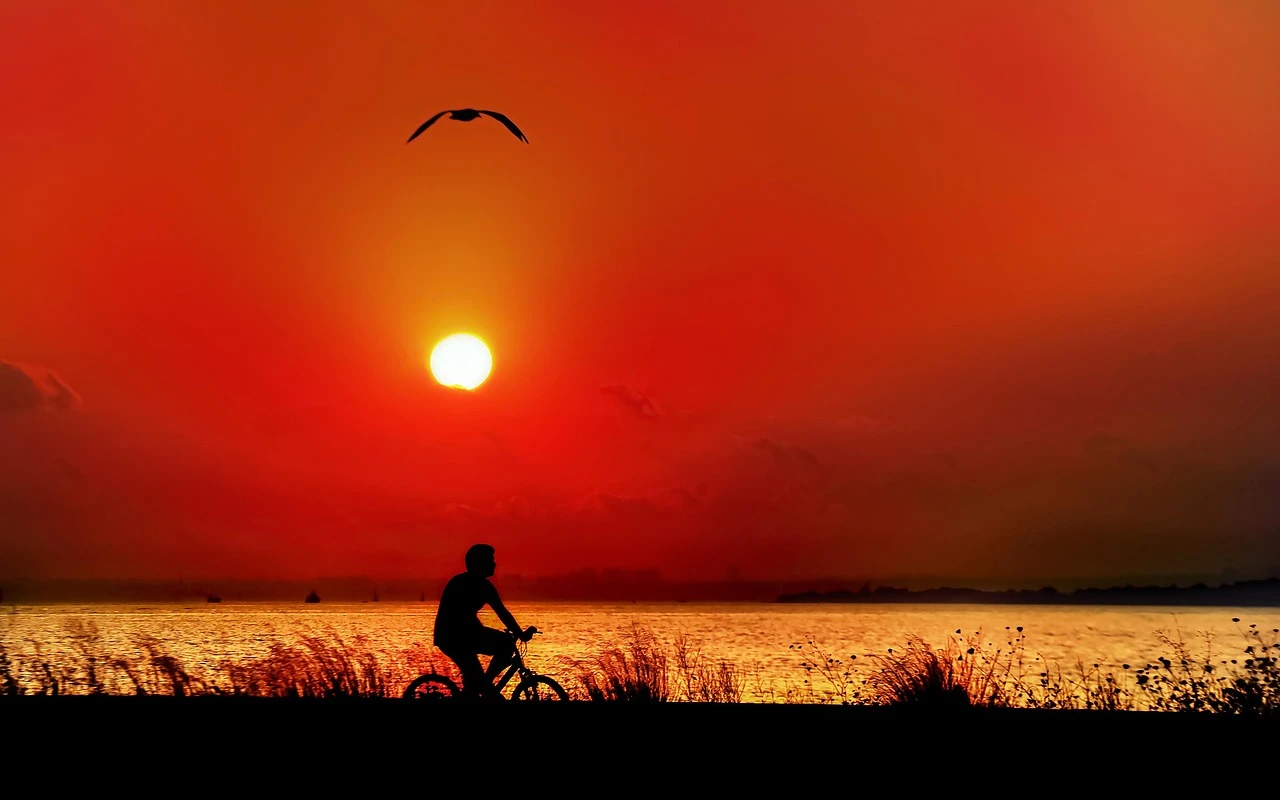 Cyclist's Silhouette: Chic Long Sleeve Tee