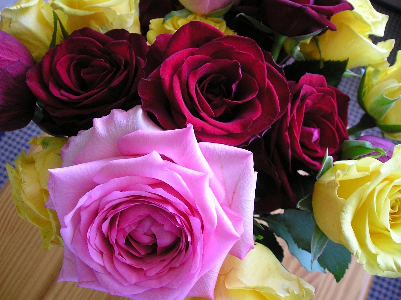 Blushing Love: A Bouquet of Pink and Red Roses by Le Boulanger - Giclée Stretched Canvas Print
