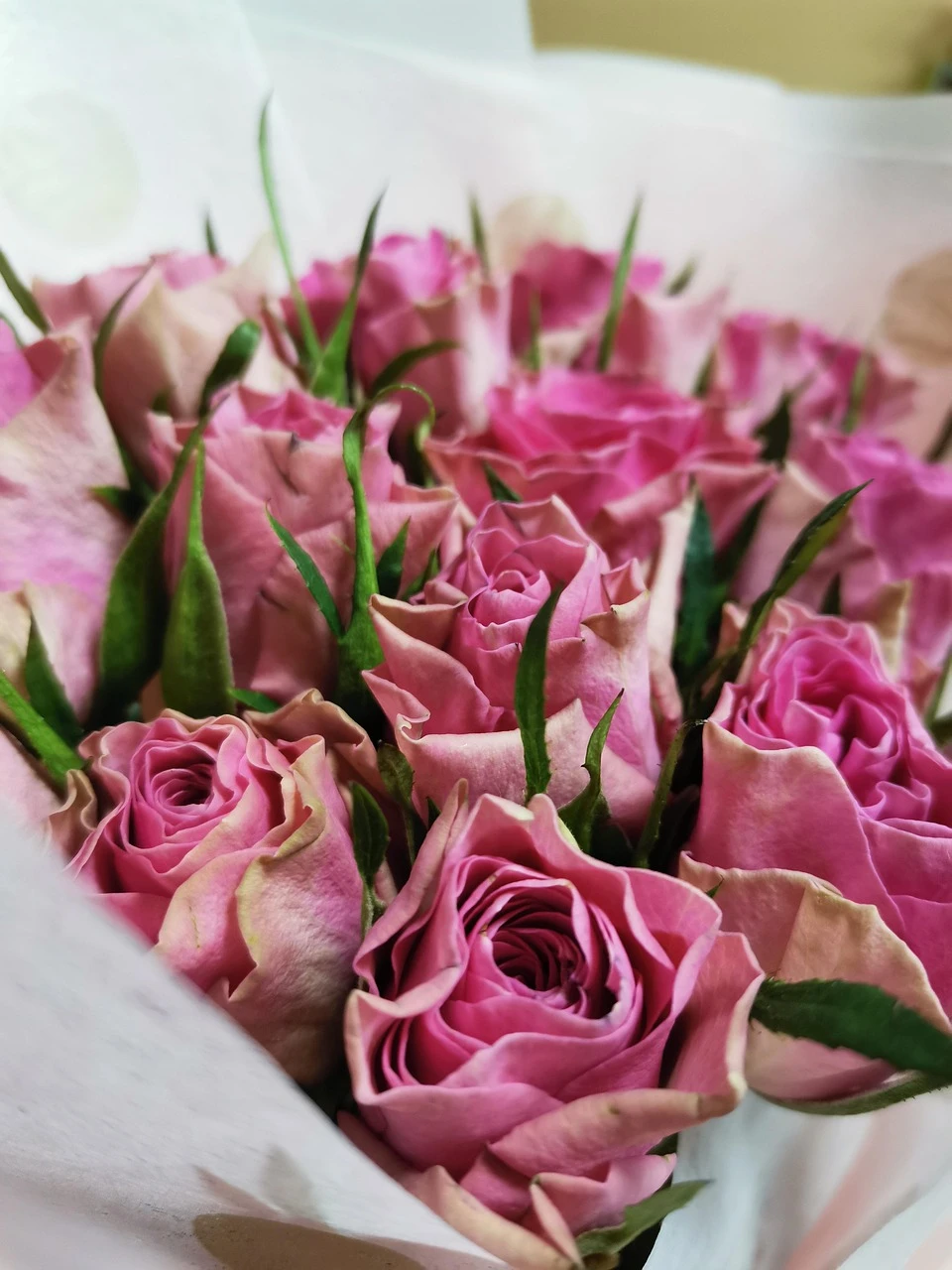 Blushing Love: A Bouquet of Pink and Red Roses by Le Boulanger