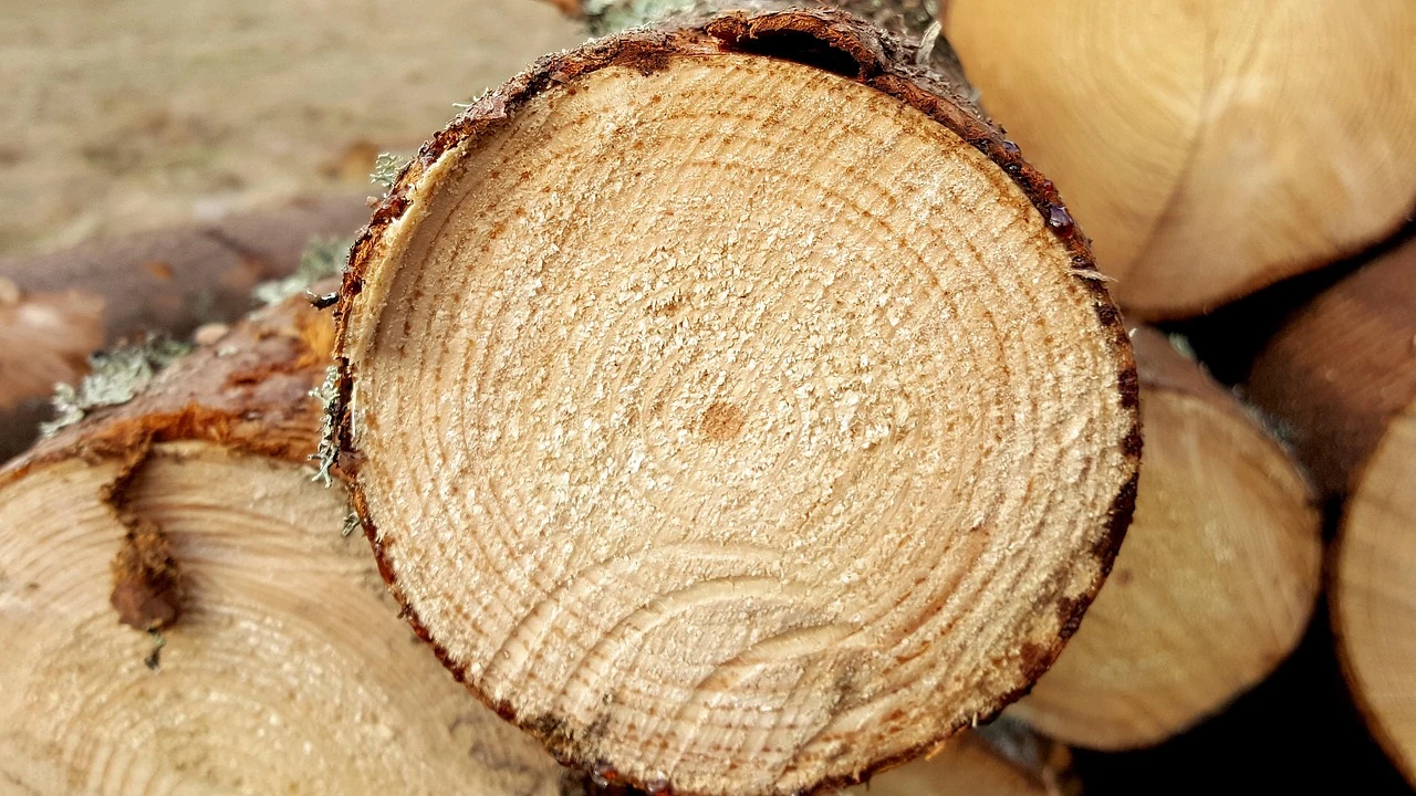 Wood Print
