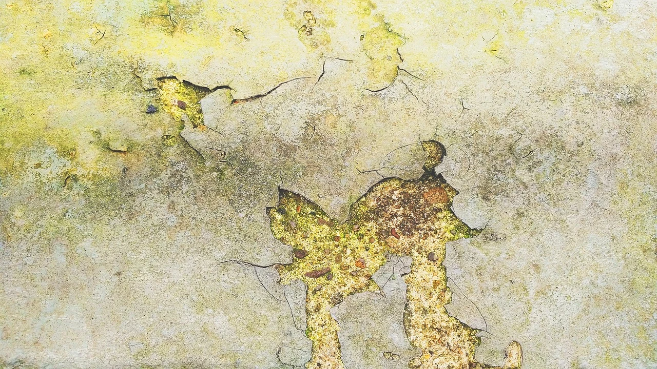 Giclee Fine Art Matte Paper Print