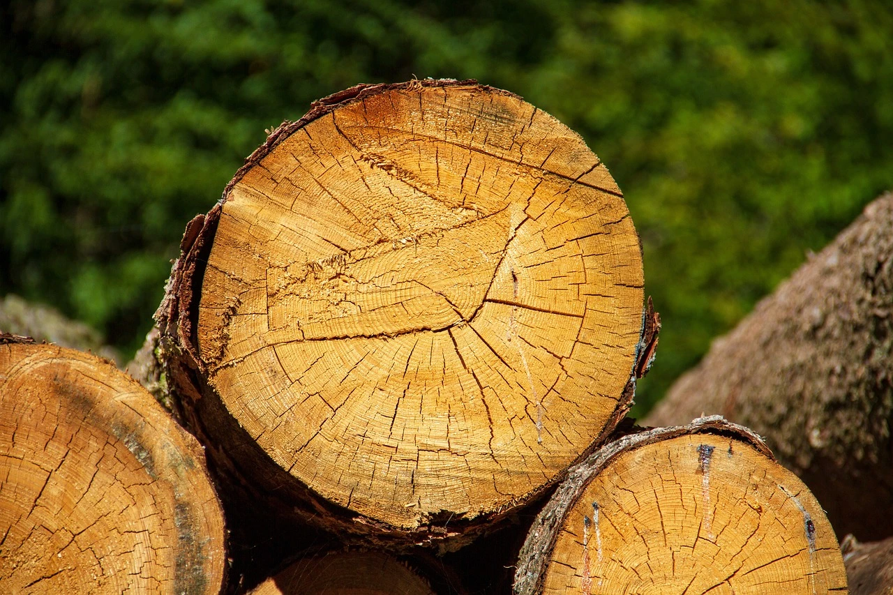 Wood Print