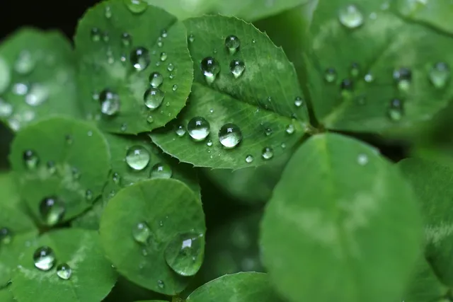 Collier de perles de cristal vert en verre