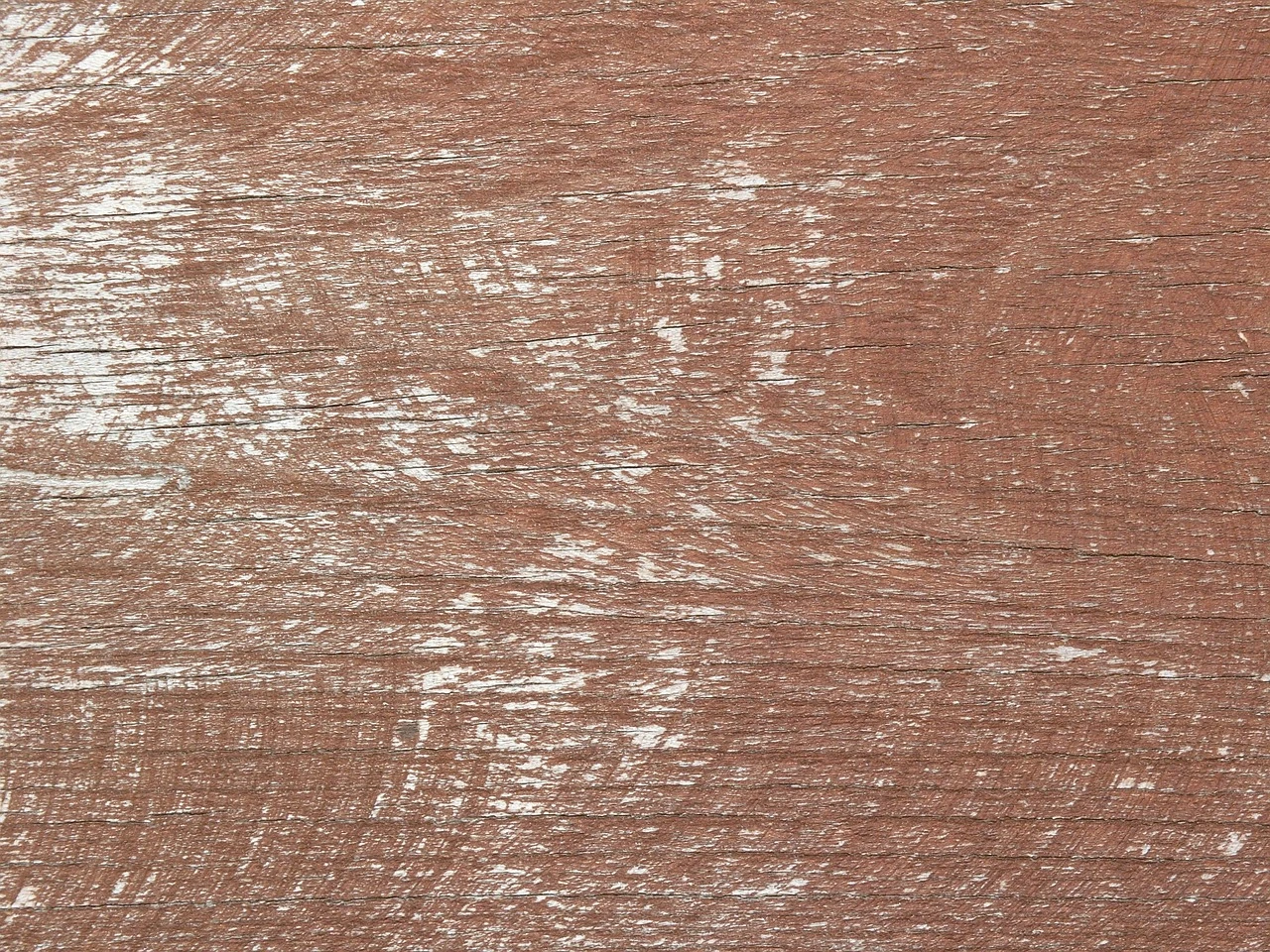 Wood Print