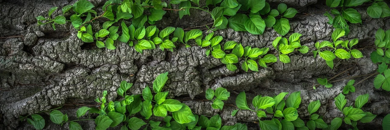 Wood Print